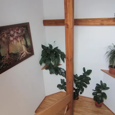 Penzión pre hostí Penzion Drienovkou Povazska Bystrica