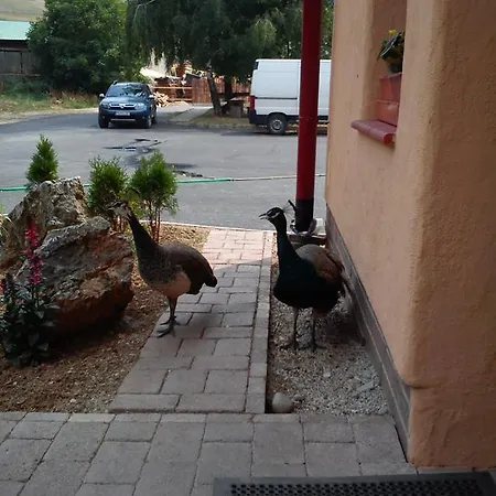 Penzion Drienovkou * Považská Bystrica