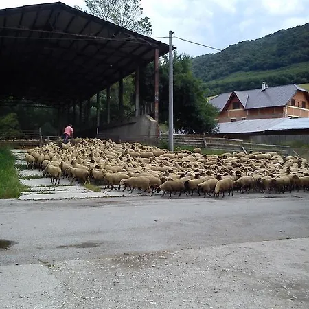 Penzion Drienovkou Penzión pre hostí Povazska Bystrica