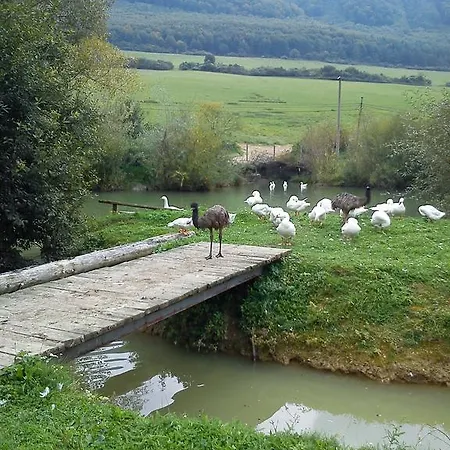 Penzion Drienovkou Povazska Bystrica