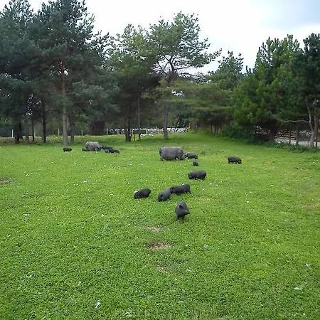 Penzión pre hostí Penzion Drienovkou